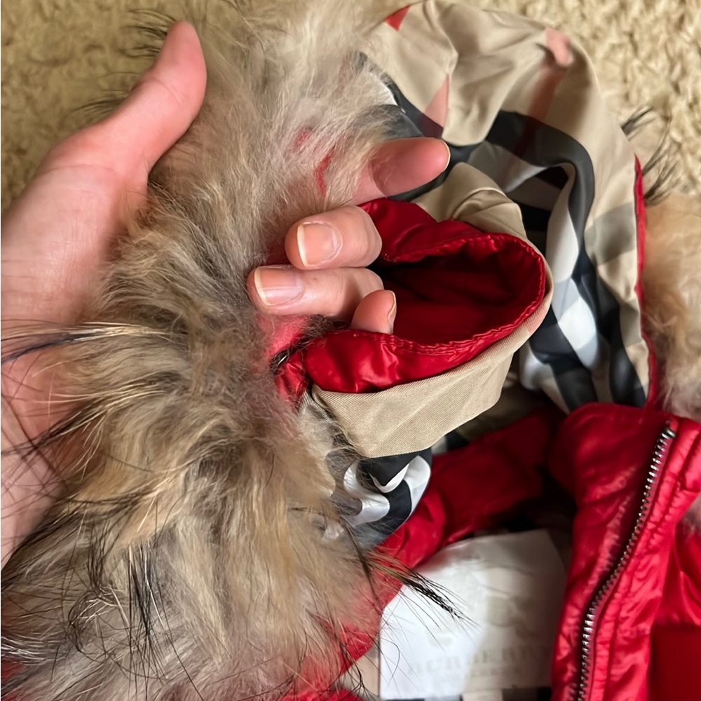 butberry kids Coat hat/fur/ both detachable. - Picture 5 of 8